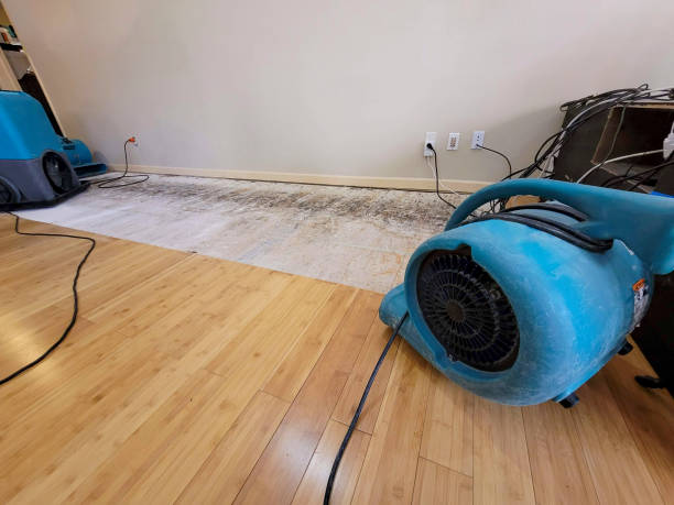Professional Sewage Cleanup technician working in Winton, CA